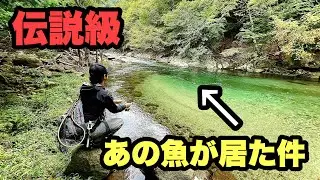 【渓流釣り】これはプラチナレインボー⁉︎初めて見た魚がミノーに食らいつく！ニジマスの川釣りコラボ前編