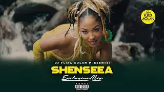 Dj Flixx - Shenseea Exclusive Mix 2023