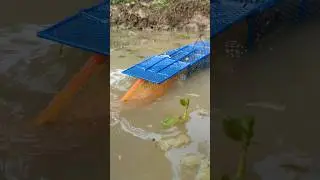 Unique Trap Fishing, with Rat Cage in pond#fish_traps#trap