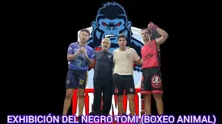 EXHIBICI&Oacute;N  TRIANGULAR DE TOMI DE BOXEO ANIMAL EN LA CULTURA DEL BARRIO 08/11/2025