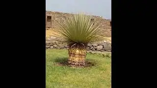 Centro arqueol&oacute;gica de vilcashuaman Ayacucho peru.   #culturainca #costumbresayacucho #turismo