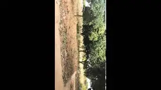 Estudo de viabilidade do espa&ccedil;o