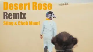 Desert Rose - Sting & Cheb Mami - Bigotes House Remix 2025