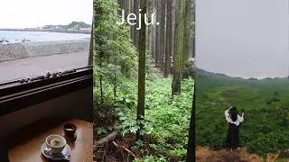 Vlog. 여름의 제주☀️ | 풍자 또간집 | 민트 바다 | 바다뷰 카페 | 오름 사진 명소 | 프라이빗 풀빌라 추천