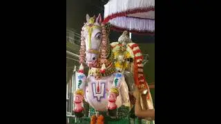 வைகுண்ட பெருமாள் கோயில் #2025 #kanchipuram #perumal #devotional