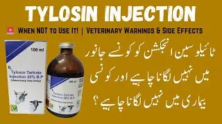 Tylosin Injection: When NOT to Use It! | Veterinary Warnings & Side Effects