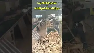 New Developed Intelligent Board Edger + Log Multi Blade Rip Saw Machine for Barecore Sawmill