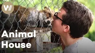 A houseshare with forty-seven animals and a flat where you clean more to pay less | Housemates Ep. 2