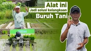 Pakai Alat Tanam Padi Ponco Tani, Mau Tanam Kapan Saja BISA !!