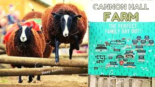 Day Trip to Cannon Hall Farm | Cannon Hall Sheep Racing| Cannon Hall Farm | Family Day Out Yorkshire