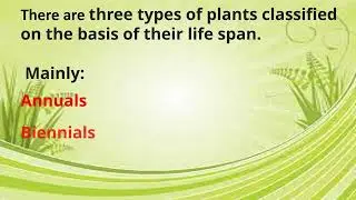 Plant classification based on Life Span | Botany | Plants| Classification |Kids| LifeSpan|Education