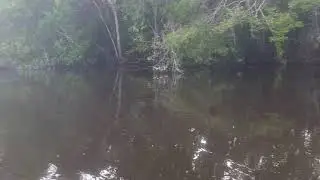 Rio Jatapu uma das maravilhas do Amazonas