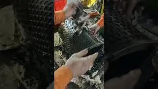 HFO transfer pump filter routine