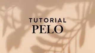 Tutorial - Encapsular Pelo