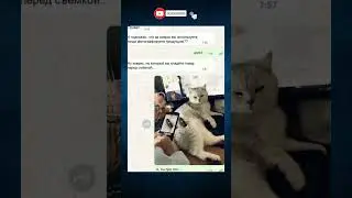 🤣🤣🤣 #funny #shorts #shortvideo #humor #jokes #comedy #memes #prank #germany #україна #laugh