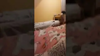 Короче один вечур зомнов перше відео часть1 #1