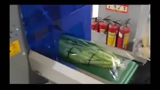 Horizontal packing machine to pack vegetables papad bread snacks etc