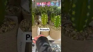 Primark home come shop with me