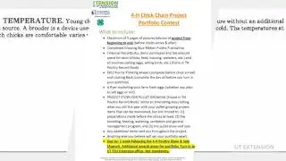 4-H Chick Chain 2020