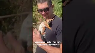 My name is Chip Antonovich😎 #shorts #funny #youtubeshorts #squirrel #shortvideo #funnyvideo