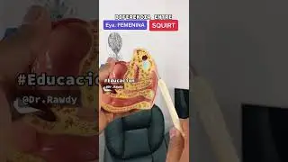 Diferencias entre squirt y 💦 femenina #shorts | DR. RAWDY