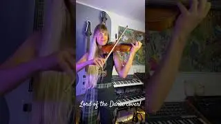 Ronan Hardiman - Lord of the Dance (violin cover)