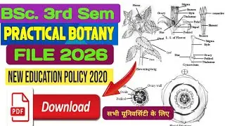 BSc 3rd Semester Botany Practical File 2026/Botany Practical File NEP 2020/BSc Botany Practical File