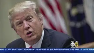 DOJ Appeals Halt On Travel Ban