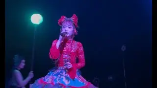 水曜日のカンパネラ - 動く点P [LIVE] 2025.4.23 浅草公会堂