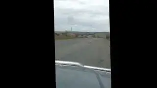 ГАИ Алматинской области нарушение приказа 455, п.20