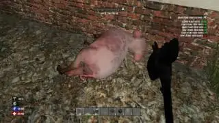 3 Minutes Of Gaming Mishaps