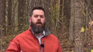 Ag at Work: Forestry Business Consultant, Neil Owens