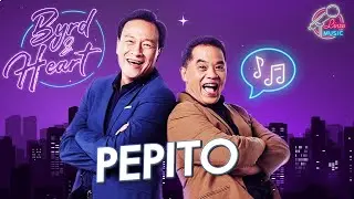 Byrd & Heart - Pepito [ Live Session ]