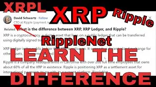 Differences between XRP Ripple XRPL & RippleNet #xrp #cryptonews #ripplenews #xrparmy #ripplenet