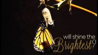 Metamorphosis: Miss Engineering 2016 Teaser