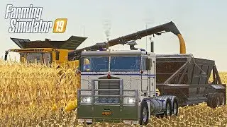 START OF CORN HARVEST 2020 - NEBRASKA LANDS SEASONS FS19 (ROLEPLAY)