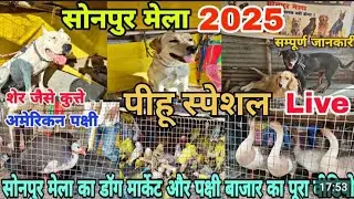 Sonpur Mela Full Tour Video 2025 | Sonepur Mela 2025 Full Video| Dog Market#sonpurmela
