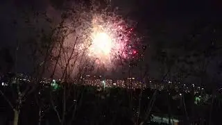 2019 Seoul World Fireworks Festival Sweden Team