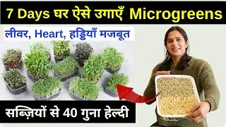 रोज़ उगाओ Microgreens 😍 हर दिन खाओ 20g, बीमारियों की छुट्टी, Grow Microgreens at Home
