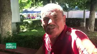 Curg amenzile date de DSVSA Argeș 09 06 2025