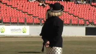 Best Novice Show Hunter Hack - 2014 Sydney Royal Easter Show