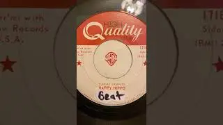 Sunday Samples - Happy Hippo Beat