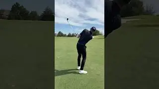 Pin Seeker🏌🏽&zwj;♂️ #golf #shorts #golfshorts #pga #livgolf