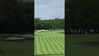 Epic Golf Shot With Loud Crowd Celebration #golf #golfshot