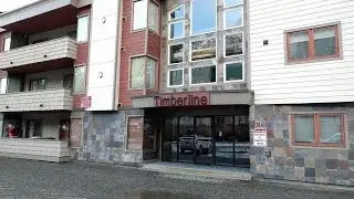 314 Crystal Mountain Road #101 Girdwood, AK 99587 l Anchorage Real Estate Properties l Kristan Cole