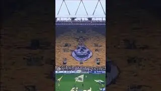 Dortmund fans😍🟡⚫