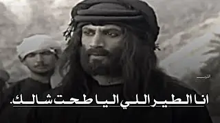 تصميم ناار🔥🔥شجاعت عنادالخيل | انا الطير اللي اليا طحت شالك