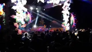 Mad Tribe - Into the future Live @ Rounders 2016