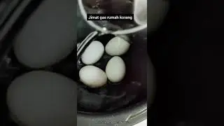 REBUS TELUR MASIN MUDAH JIMAT GAS RUMAH | MULTICOOKER CUCKOO P10