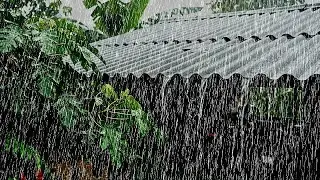 Rain Sounds 🌧️ | Heavy Rain Noise Created to Support Long Hours of Uninterrupted Sleep